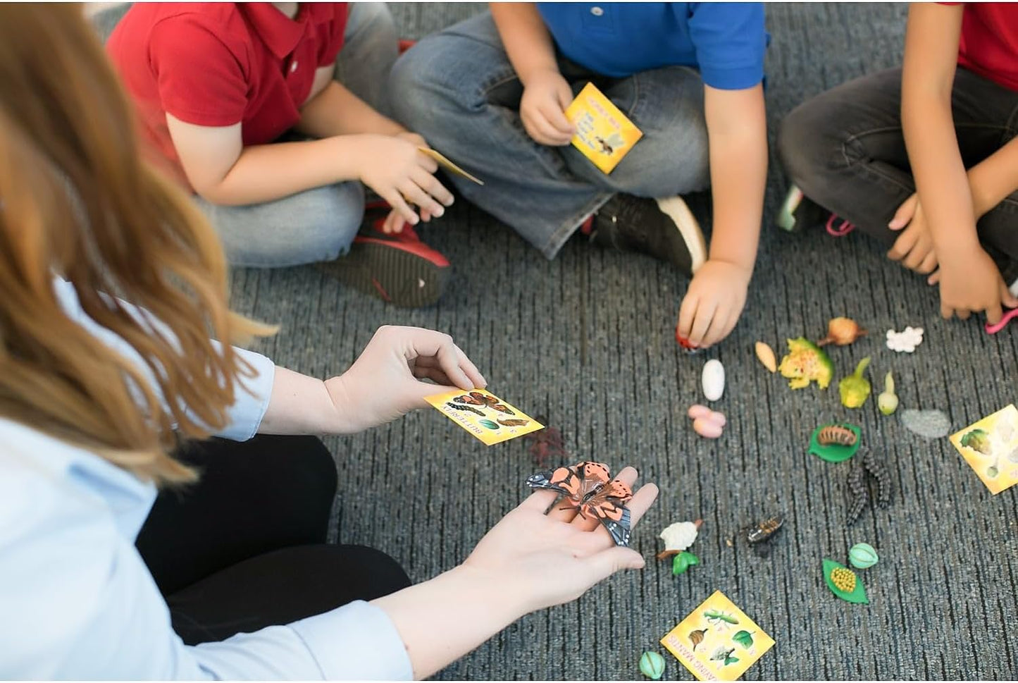 Insect Lore's Life Cycle Figurines 24 Pc Set | Butterfly, Ladybug, Frog, Honey Bee, Ant and Praying Mantis | 4 Stages Per Insect, 24 Figurines Total