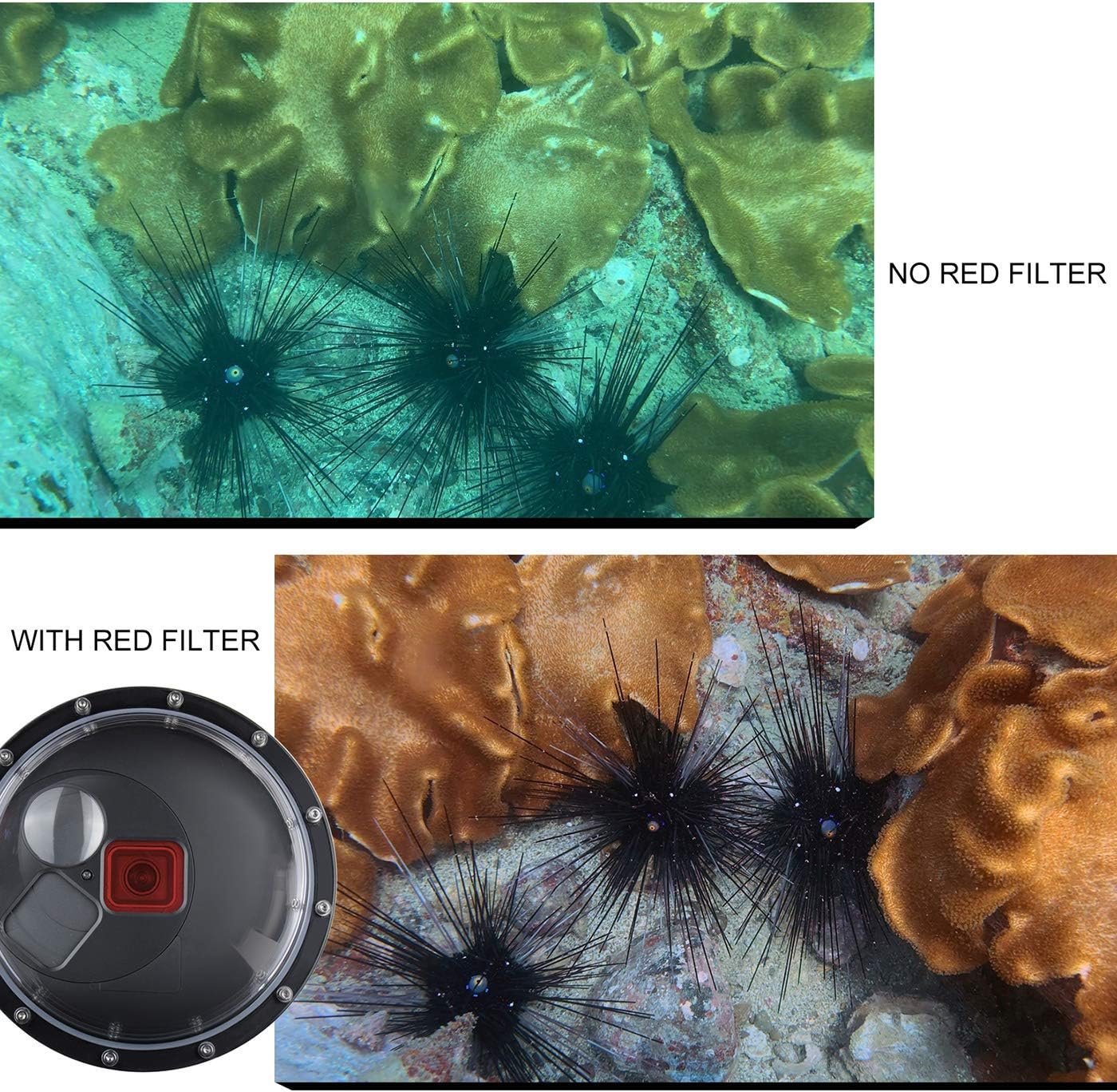 Dome Port for GoPro Hero 13 12 11 10 9 Black, Dome Port Lens with Waterproof Housing Case, Trigger, Floating Hand Grip, Built-in Switchable Red Filter and 10x Macro Filter