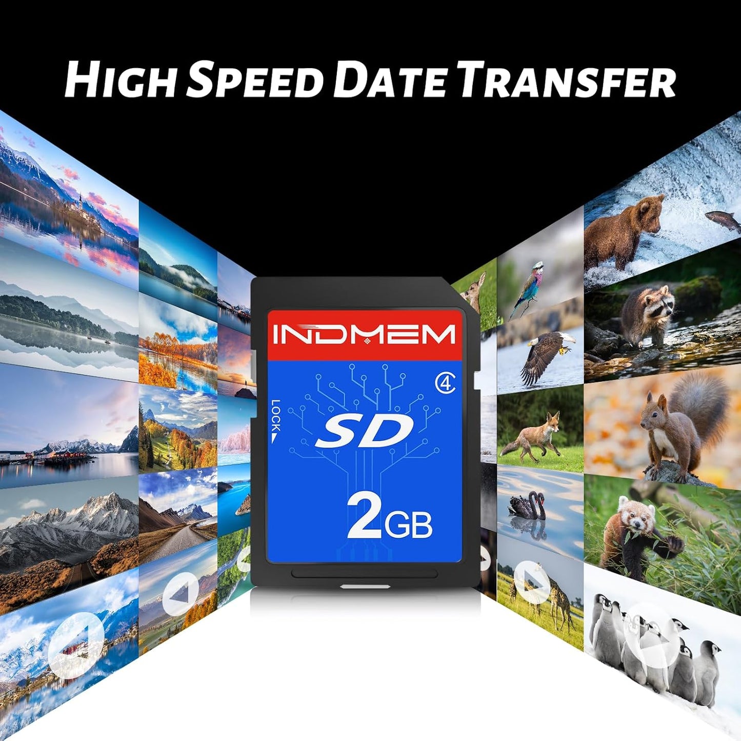 INDMEM 2GB SD Card, 10 Packs Class 4 2GB Flash Memory Card MLC Standard Secure Digital Cards Camera Card