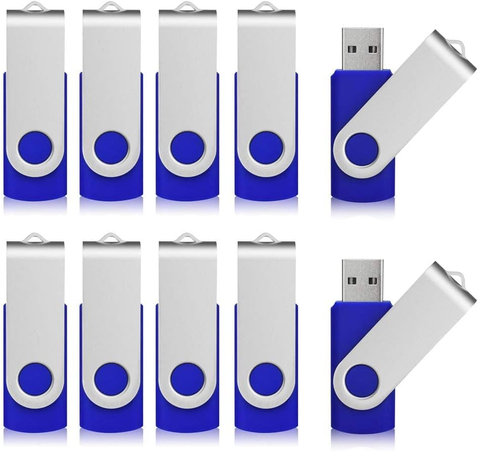 Aiibe 2GB Flash Drive USB Flash Drive Thumb Drives 2G USB 2.0 Memory Stick Wholesale/Lot/Bulk (2GB, 10 Pack, Blue)