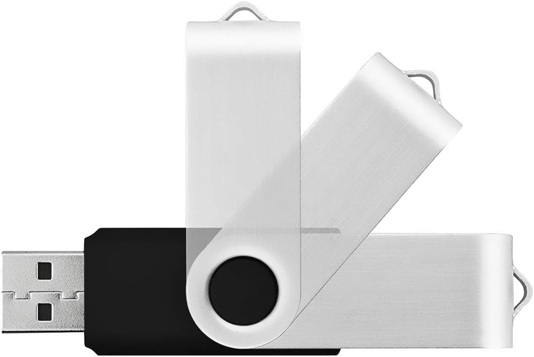 Aiibe 2GB Flash Drives 20 Pack 2GB USB Flash Drive Bulk USB 2.0 Thumb Drives Swivel Zip Drive (2 GB, Black)