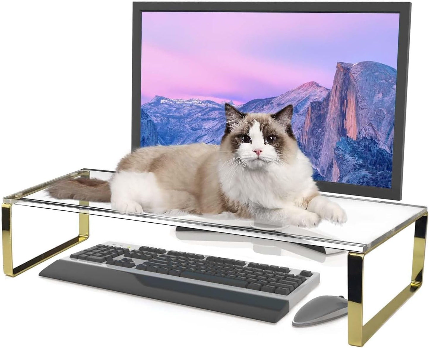 Keyboard Cat Protector - 20" Large Monitor Stand 2 in 1 Clear Acrylic Keyboard Cover Long Acrylic Monitor Stand Keyboard Protective Cover for Desk 108 Keyboard Protector Laptop Computer Monitor