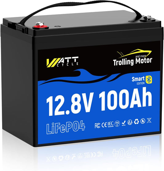 12V 100Ah TM LiFePO4 Lithium Battery, Group 24 with 120A BMS & Smart Bluetooth, IP67, Auto Cut/Recovery, Deep Cycle for Boats, RVs, Marine, Trolling Motors, Solar, Camping, Off-Grid