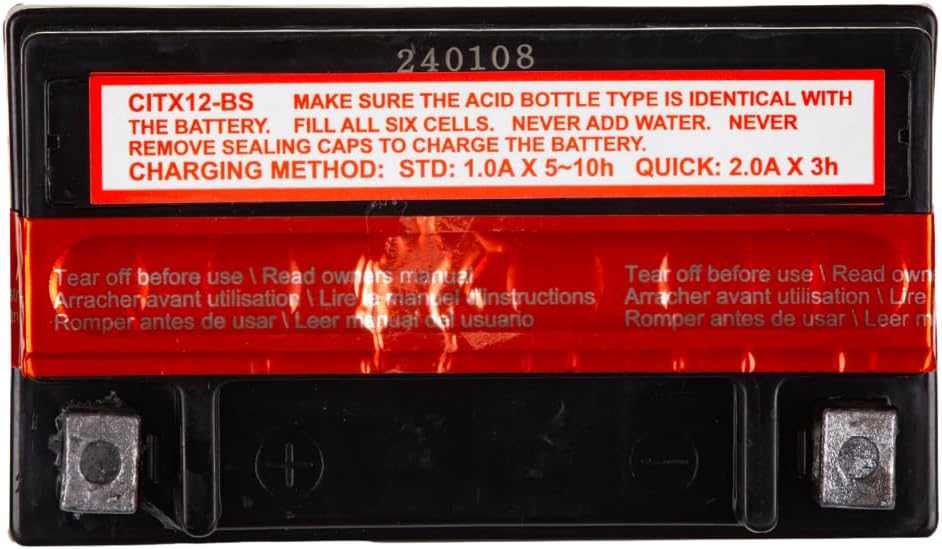 Interstate Batteries YTX12-BS 12V 10Ah Powersports Battery 175CCA AGM Rechargeable Replacement for Honda, Kawasaki, Suzuki Motorcycles, Scooters, Bikes, ATVs, UTVs (CITX12-BS)