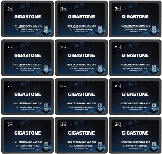 Gigastone 2TB NAS SSD Drive (12-Pack) 24/7 Durable TLC High Endurance RAID Data Storage Network Attached Storage 2.5" SATA Internal Solid State Hard Drives