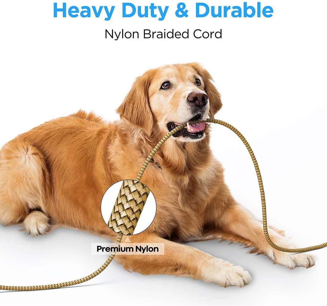 etguuds 6.6ft USB A to USB C Cable 3A Fast Charging, 2-Pack USB A to USB Type C Charger Cord for iPhone 16 15 Pro/Pro Max/Plus, for Samsung Galaxy S24 S23 S22 S21 S20 S10 A55 A54 Flip Note, Moto, Gold