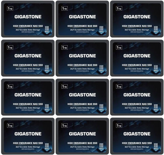 Gigastone 1TB NAS SSD Drive (12-Pack) 24/7 Durable TLC High Endurance RAID Data Storage Network Attached Storage 2.5" SATA Internal Solid State Hard Drives