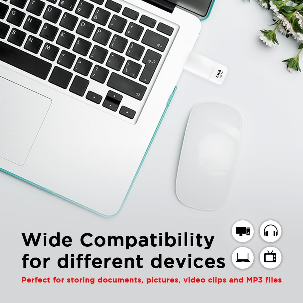 GIGASTONE 64GB Flash Drive, Z60NB USB 3.2 Gen 1, Ultra Fast, Retractable Capless Slider Design, Data Storage, Backup for PC/Mac/TV/Car Audio, USB 2.0/3.0/3.1 Compatible (Random Color)