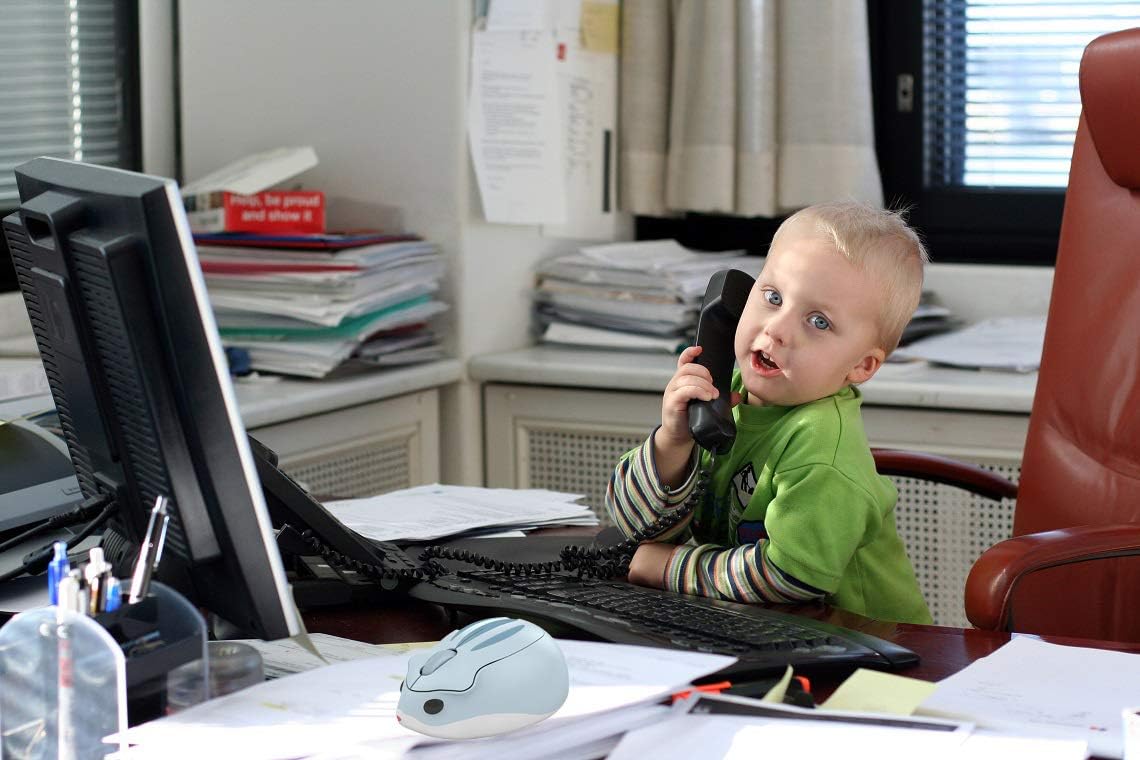 2.4GHz Wireless Mouse Cute Hamster Shape Less Noice Portable Mobile Optical 1200DPI USB Mice Cordless Mouse for PC Laptop Computer Notebook MacBook Kids Girl Men Women Mom Dad Gift (Blue)