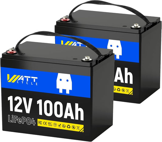 12V 100Ah LiFePO4 Lithium Battery 2 Pack - BCI Group 24, 15000 Cycles, Built-in 100A BMS, Low-Temperature Protection - Ideal for RVs, Golf Cart, Home Energy Storage, Marine (2 Pack)