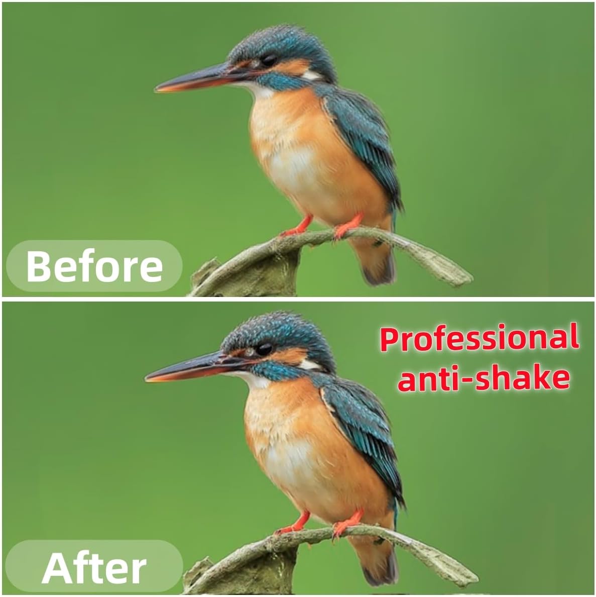 Pixel TW283-S1 Wireless Remote Trigger Timer Intervalometer Compatible with Sony a100 a200 a300 a350 a400 a450 a500 a550 a560 a580 a700 a850 a900 a37 a5 a5 a57 A65 A67 A77 A99 A77II A99II