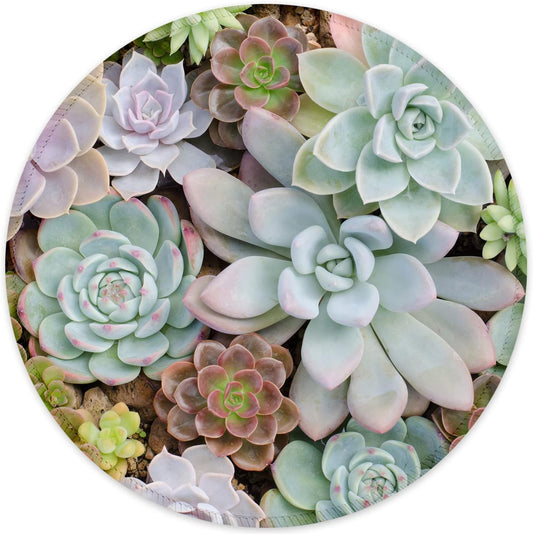 ITNRSIIET Round Mouse Pad with Stitched Edge Premium-Textured Waterproof Non-Slip Rubber Base Desktop Protection Mat Diameter 8.7 inches, Succulents