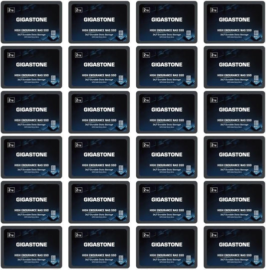 Gigastone 2TB NAS SSD Drive (24-Pack) 24/7 Durable TLC High Endurance RAID Data Storage Network Attached Storage 2.5" SATA Internal Solid State Hard Drives