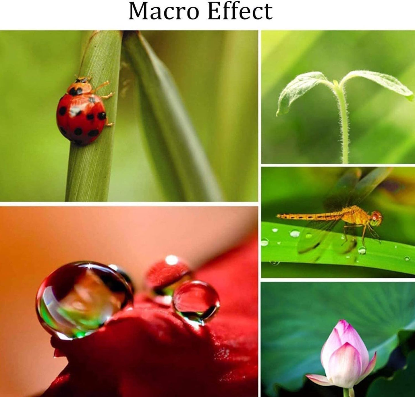 3 in 1 Cell Phone Camera Lens Kit Wide Angle Macro Fisheye Lens for iPad iPhone Samsung Android and Most Smartphones