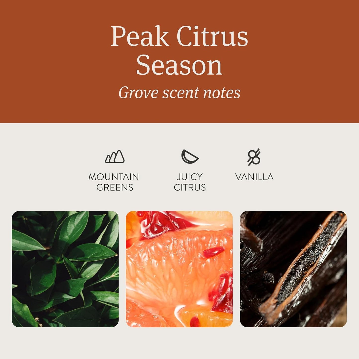 Drift Car Air Freshener - The Original Wood Air Freshener - Car Odor Eliminator - Long Lasting Scent - Metal Clip - Essential Oils - Clean Ingredients - Grove Scent 3 Pack Refill - NO CLIP INCLUDED