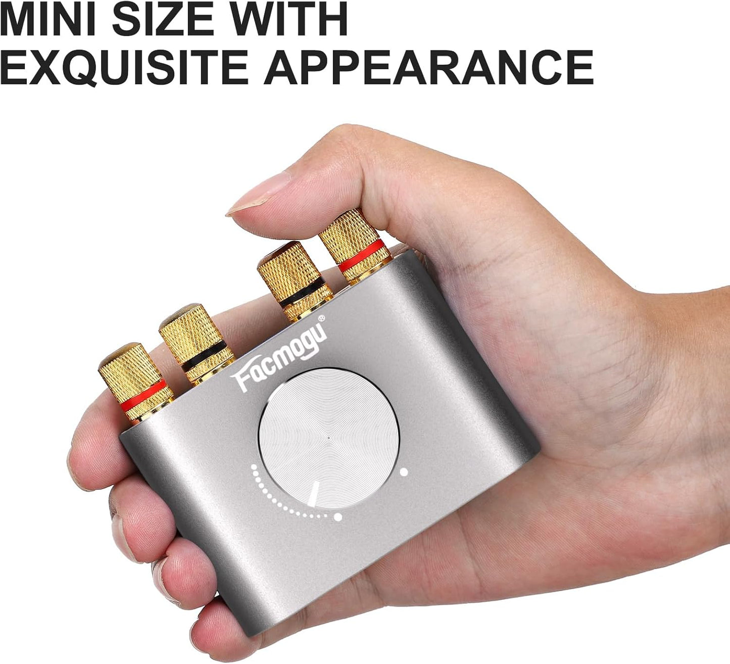 Facmogu F900S 160W Bluetooth 5.0 Mini Amplifier, 80Wx2 2.0CH Audio Power Amplifier, Hi-Fi Stereo Sound Digital Amp Wireless Speaker Amp Receiver w/AUX/USB/BT Input & 12V 5A Power Adapter - Silver