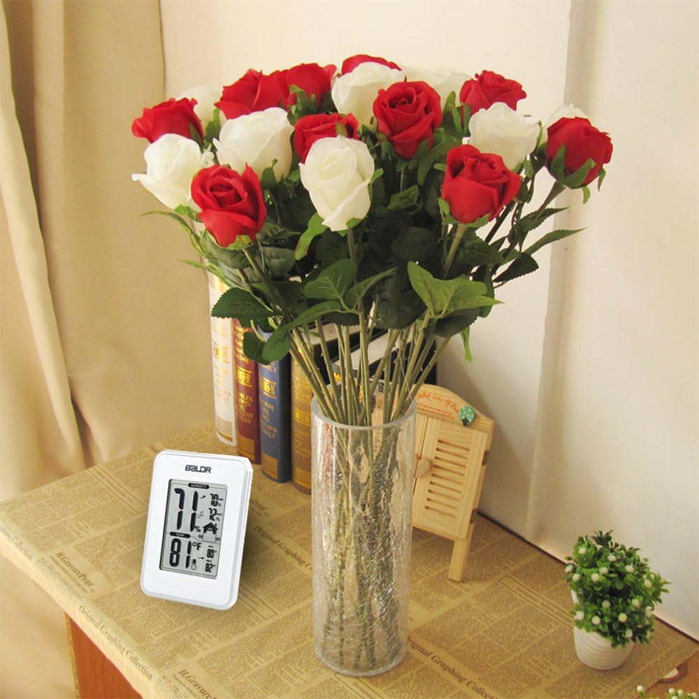 BALDR Digital Thermometer Hygrometer Monitor Indoor Temperature & Humidity Gauge, Min, Max, and Trend Indicator, White