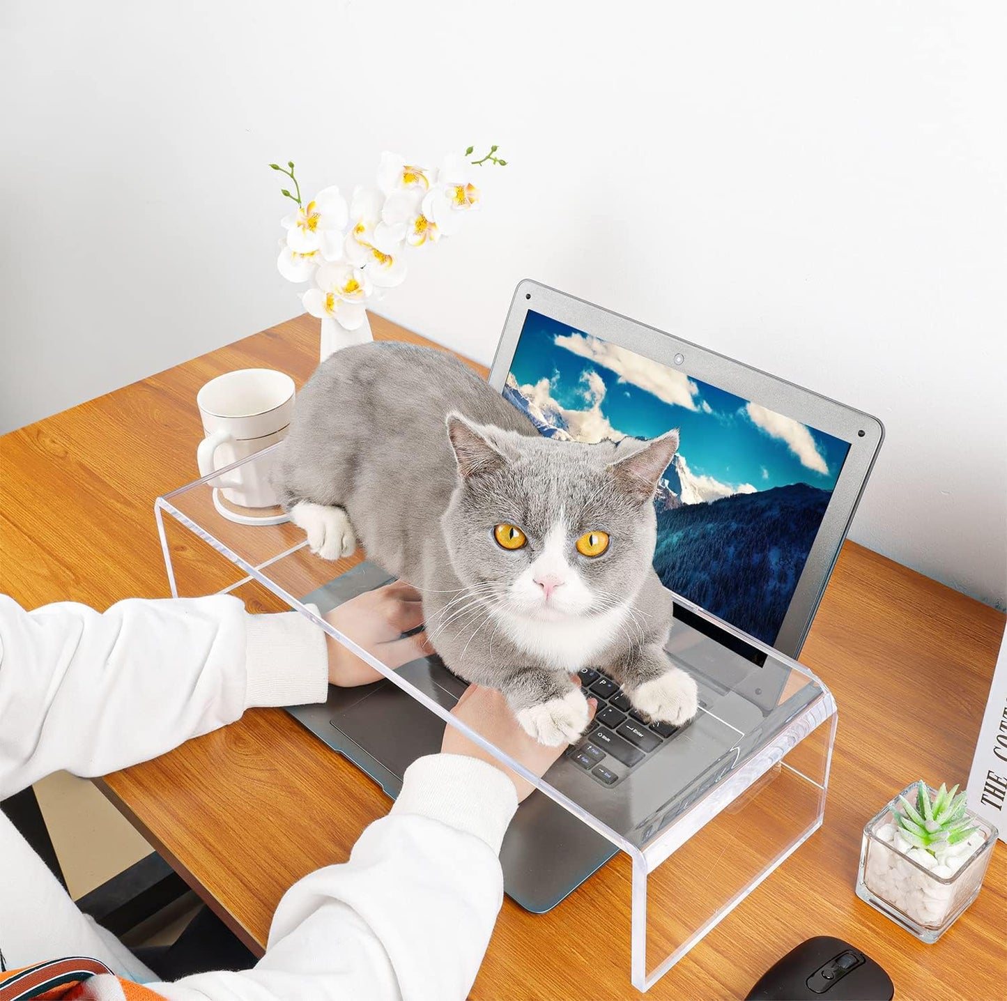 Anti-Cat keyboard cover, laptop keyboard covers cat proof, clear keyboard protector, PC Desk Stand for Keyboard Storage acrylic Monitor Stand Riser and Laptop Stand Riser (20"/7.1"/4.8")