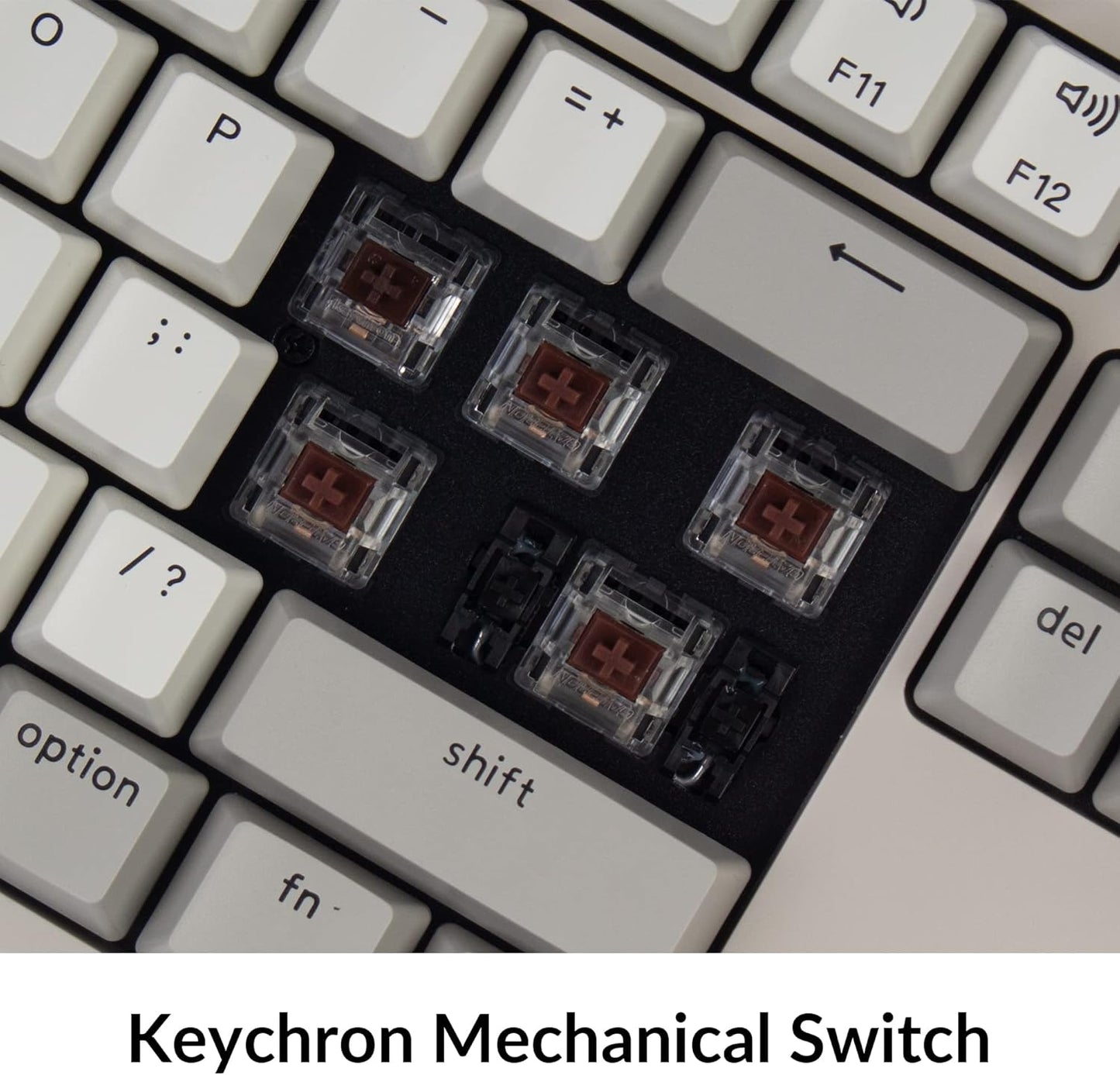 Keychron C2 Full Size Wired Mechanical Keyboard Compatible with Mac, Keychron Brown Switch, 104 Keys ABS Retro Color Keycaps Gaming Keyboard for Windows, USB-C Type-C Braid Cable