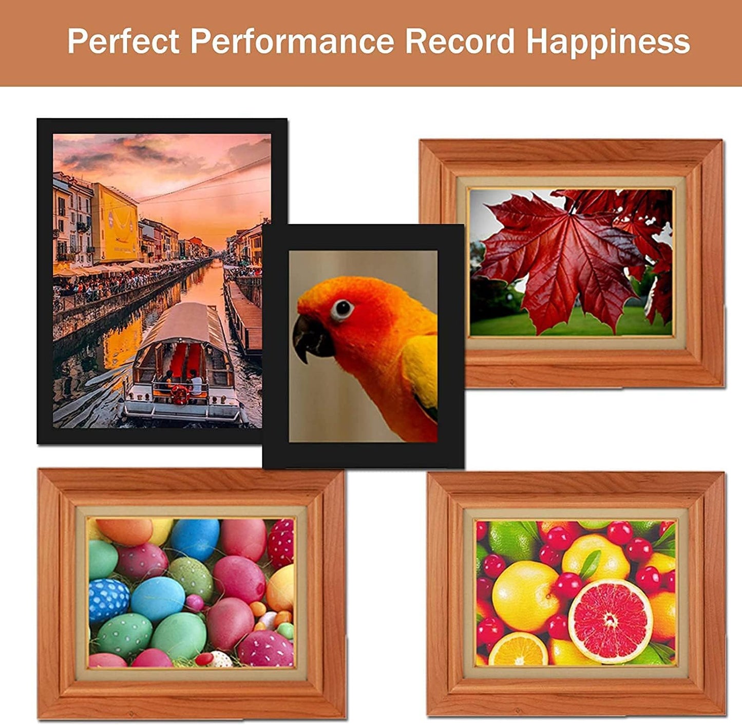 Joni MGToner Compatible TN221 TN-221 Toner Cartridge Replacement for HL-3140CW HL-3180CDW HL-3170CDW MFC-9130CW MFC-9340CDW MFC-9330CDW Printer (4 Pack, 1BK+1C+1M+1Y)