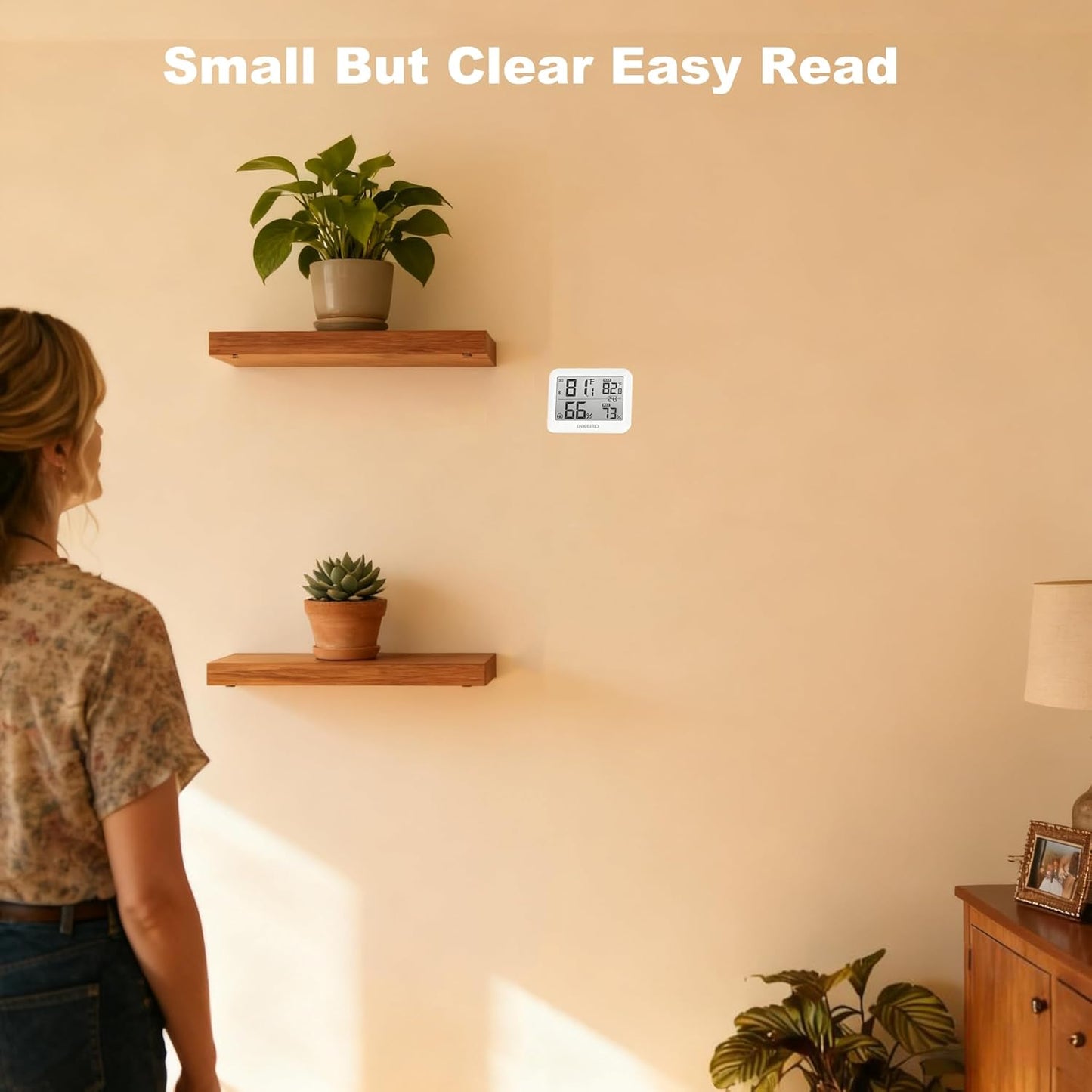 2 Pack Temperature Hygrometer Monitor, Indoor Thermometer and Humidity Sensor with App Notifications, Mini Bluetooth Thermometer Digital Device