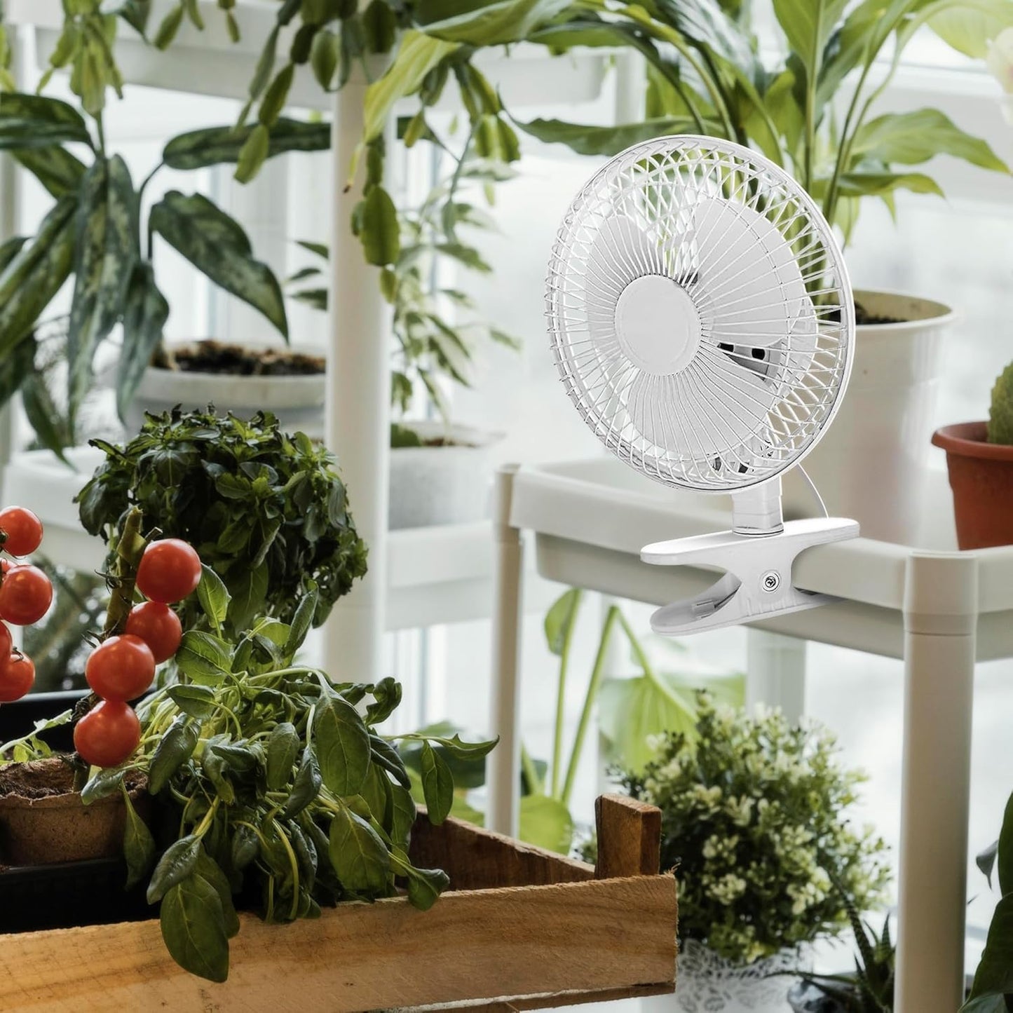 JOEY'Z 6 INCH - 2 Speed - Adjustable Tilt, Whisper Quiet Operation Clip-On-Fan with 5.5 Foot Cord and Steel Safety Grill (1, 6" Fan with 5 FT Cord)