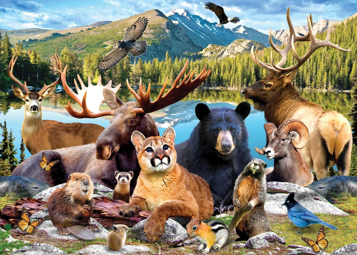 Baby Fanatics MasterPieces 500 Pieces Jigsaw Puzzle for Adults, Family, Or Kids - Rocky Mountain National Park - 15"x21"