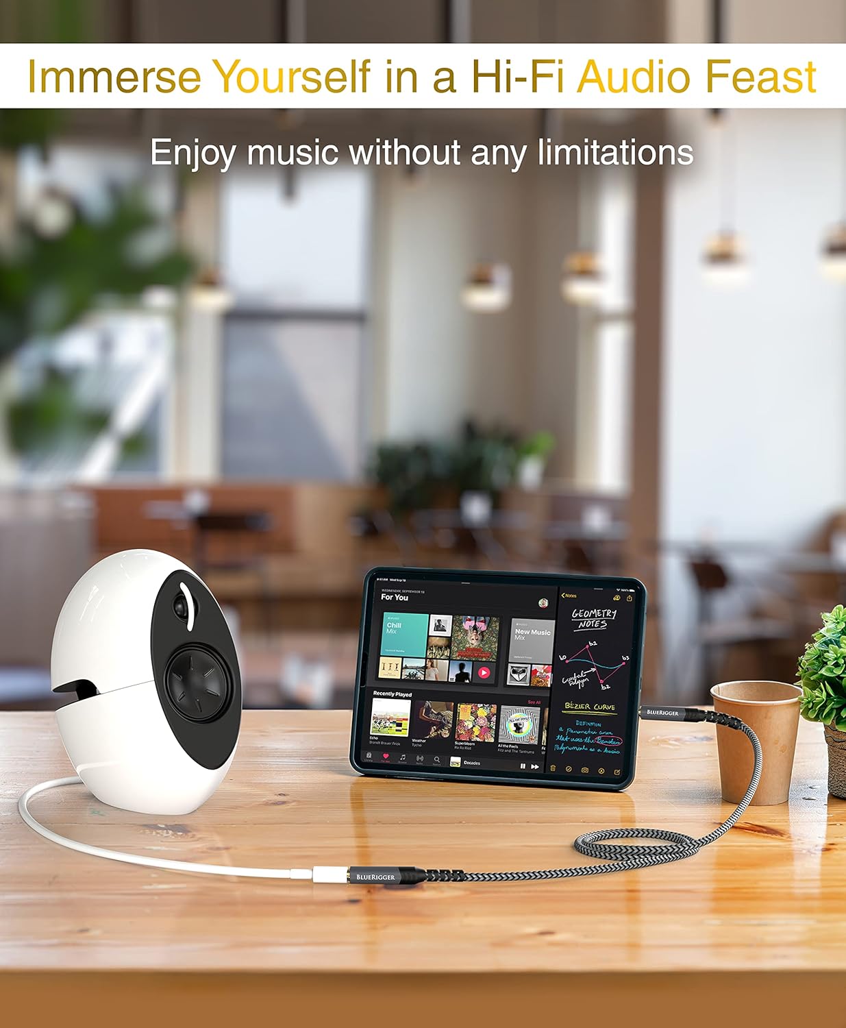 BlueRigger Headphone Extension Cable (6FT, 24K Gold Plated Jack, Hi-Fi Sound, 3.5mm Male to Female Stereo Audio Cable) – Aux Cord for iPod, Laptops, Smartphones, Speakers, Tablets, Home Car Stereo