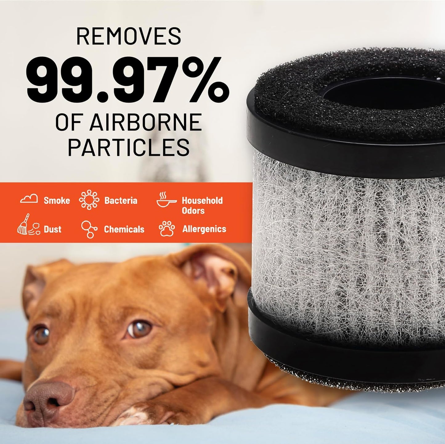 FRAM H13 HEPA Filtration Air Purifier Replacement Filter for Model CAP30100 & CAP30200 | Cleans Air of Smoke, Dust & Other Contaminants | Provides 500 Hours of Use | CAP30111