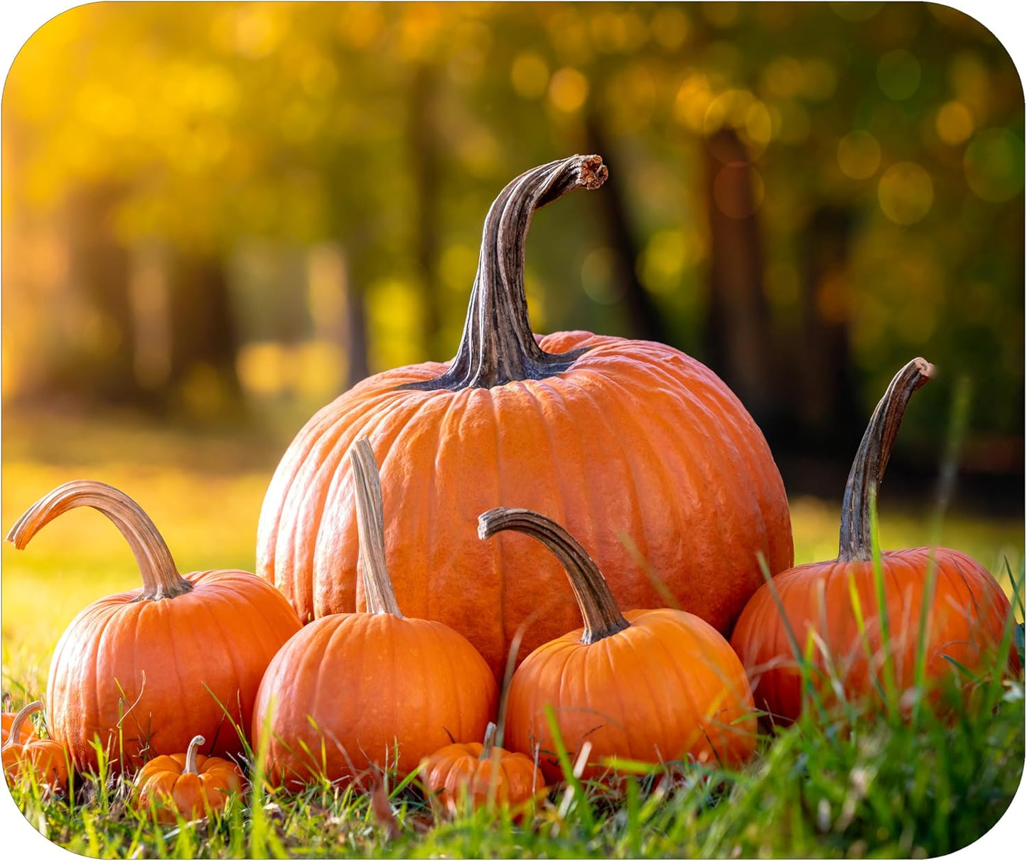 Fall Season Mouse Pad Mat Mousepad for Desk Computer Laptop PC Gaming Home or Office Gift (Pumpkins MP85)