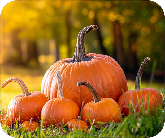 Fall Season Mouse Pad Mat Mousepad for Desk Computer Laptop PC Gaming Home or Office Gift (Pumpkins MP85)