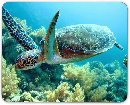 Green sea Turtle Mouse pad, Natural Rubber Mouse Pad, Quality Creative Wrist-Protected Wristbands Personalized Desk, Mouse Pad (9.5 inch x 7.9 inch)