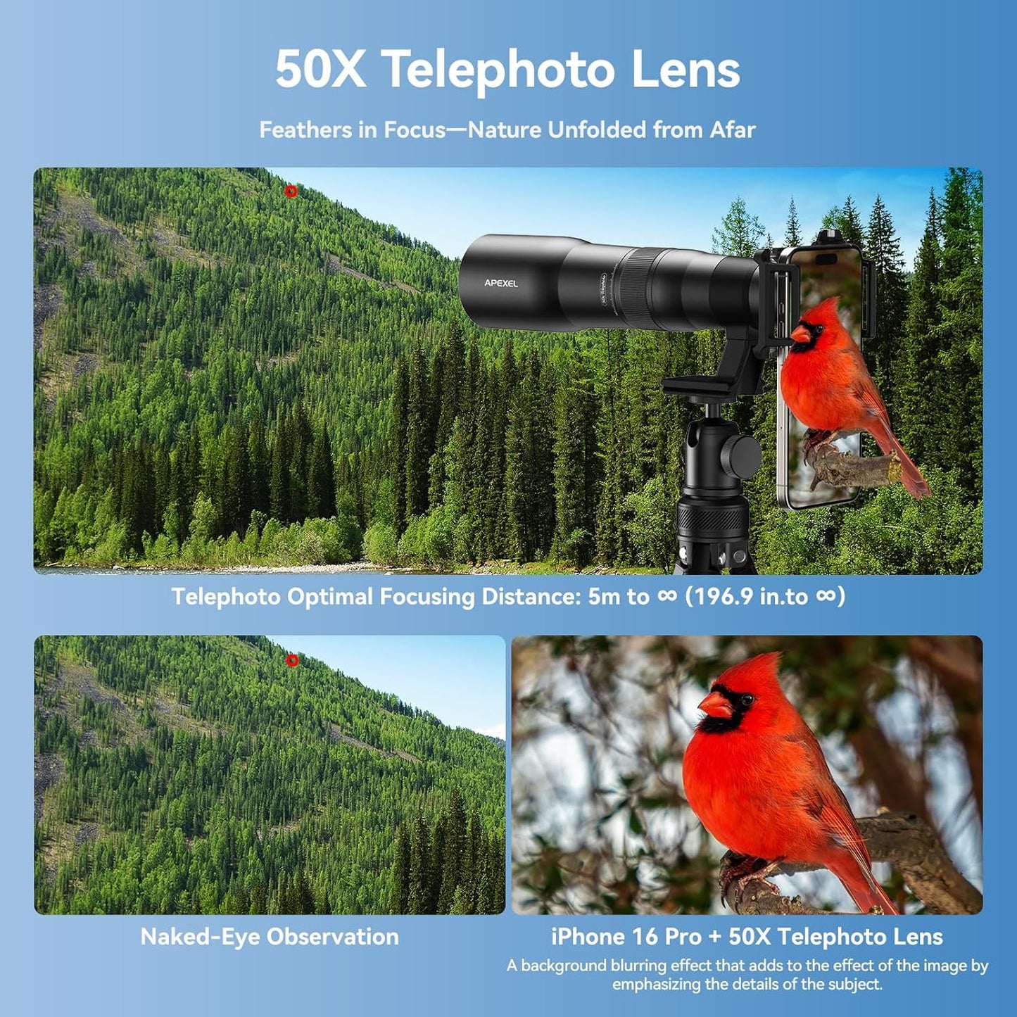 APEXEL 50x High Power HD Telephoto Lens | with Tripod & Universal Phone Clip for iPhone 16/15/14/13 Series, Samsung, Android and Most Smartphone | Landscapes Target Viewing, Wildlife Moon Photography