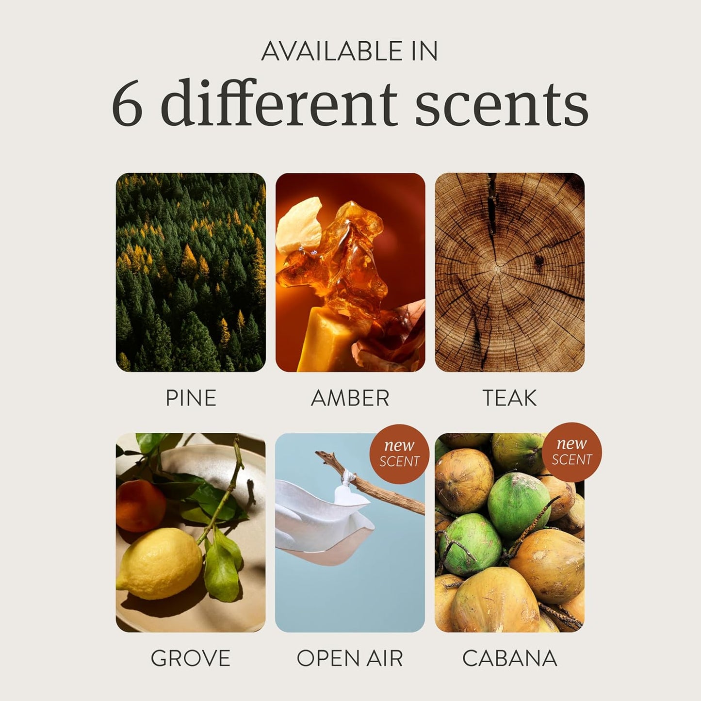 Drift Car Air Freshener - The Original Wood Air Freshener - Car Odor Eliminator - Long Lasting Scent - Metal Clip - Essential Oils - Clean Ingredients - Grove Scent 3 Pack Refill - NO CLIP INCLUDED