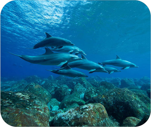 Coastal Shoreline Waves Sandy Beach Theme Mouse Pad Mat Mousepad for Desk Computer Laptop PC Gaming Home or Office Gift (Dolphin Underwater MP20)