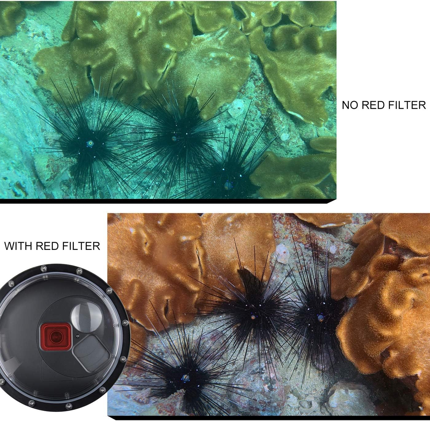 Dome Port Lens for GoPro Hero 5 6 7 Black Hero (2018), Dome Port with Waterproof Housing Case, Trigger, Floating Hand Grip, Built-in Switchable Red Filter and 10x Macro Filter