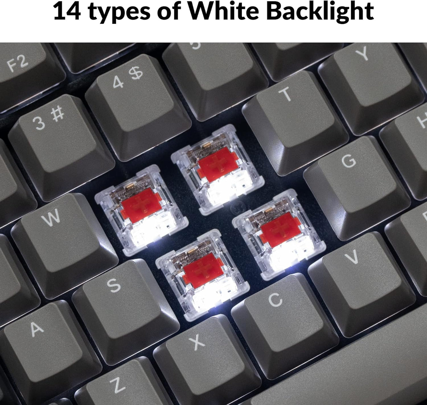Keychron C2 Pro Wired Custom Mechanical Keyboard Full Size Layout QMK/VIA Programmable Macro White Backlit with Keychron K Pro Red Switch OEM Profile Double-Shot PBT Keycaps for Mac Windows Linux