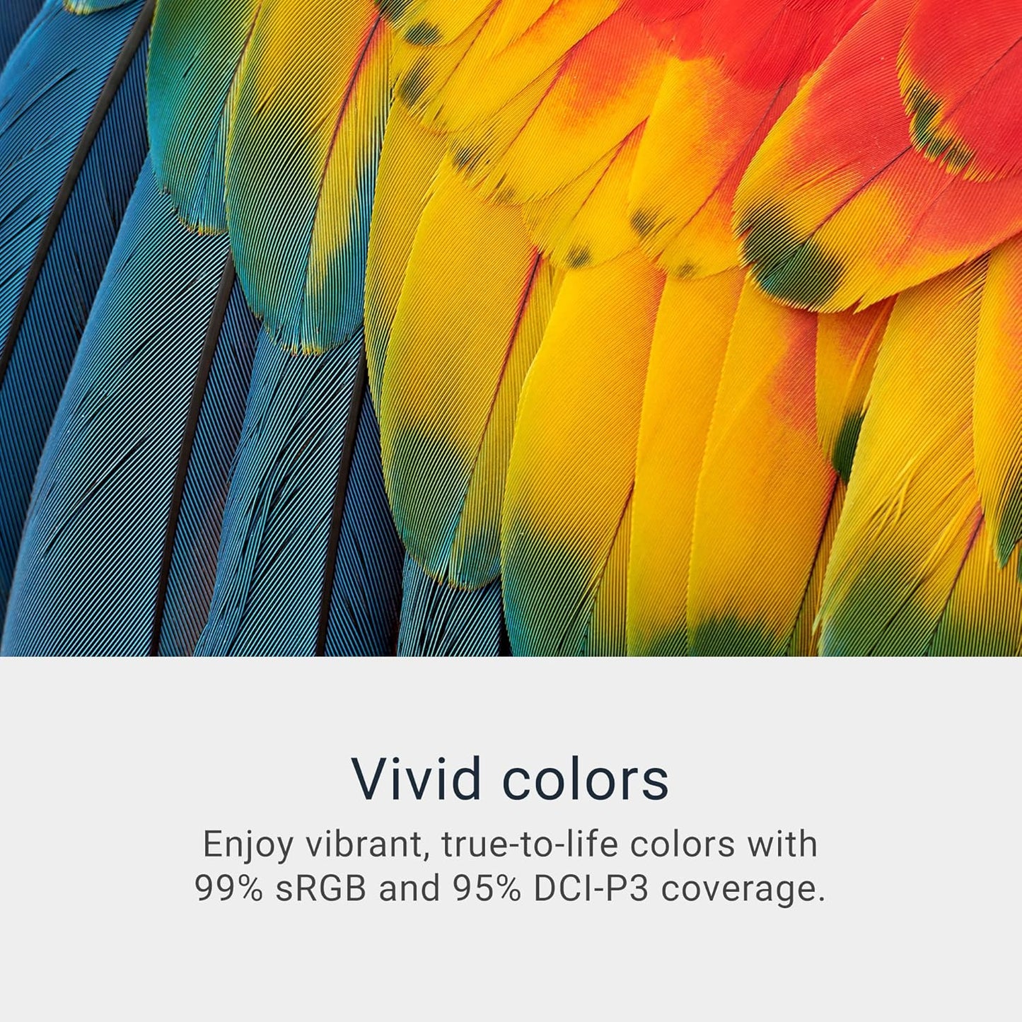 Dell 34 Plus USB-C Curved Monitor - S3425DW - 34-inch (3440 x 1440) up to 120 Hz 21:9 Display, VA Panel, AMD FreeSync Premium, 99% sRGB, 95% DCI-P3, Integrated Speakers, 3000:1 Contrast Ratio