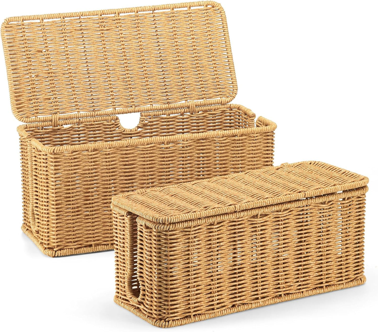2Pack Large Cable Management Box, Handwoven Imitation Rattan Cord Organizer wire Hider Box, Desk Cord Management to Hide Cords and Power Strips