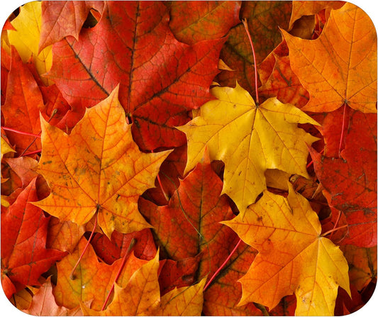 Fall Season Mouse Pad Mat Mousepad for Desk Computer Laptop PC Gaming Home or Office Gift (Leaves MP83)