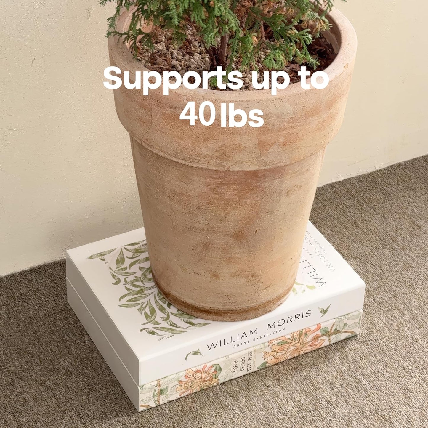 Book Shape Decorative Cable Management Box - Expandable Cable Organizer Box with Magnetic Closure for Home & Office (Blue Coral, Standard)